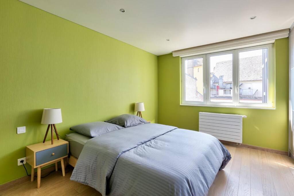 Appartement Spacieux Au Coeur De 스트라스부르 외부 사진